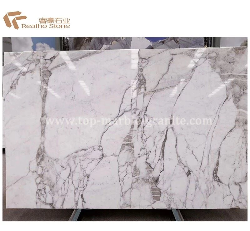 calacatta gold marble slab for Countertop