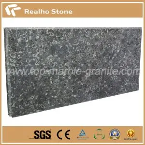 Npau suav vajvoog dub Fossil Marble Slabs Thiab Countertops